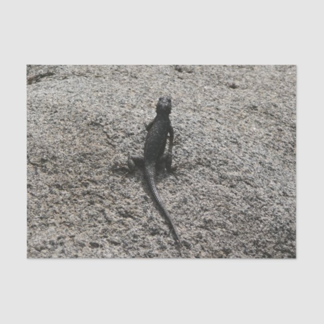 Papel De Seda Black Lizard (Frente )