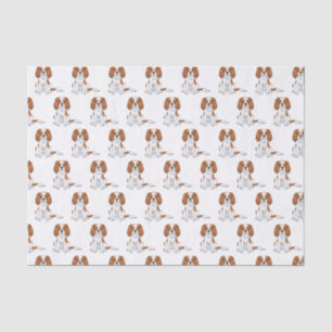 Papel De Seda Blenheim Cavalier King Charles Spaniel Pattern