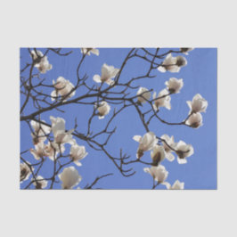 Papel De Seda Blooming Magnolias