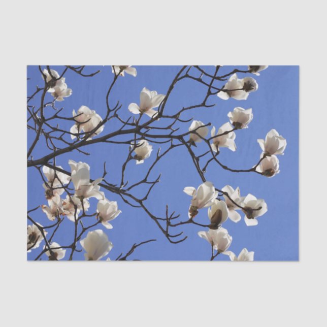 Papel De Seda Blooming Magnolias (Frente )