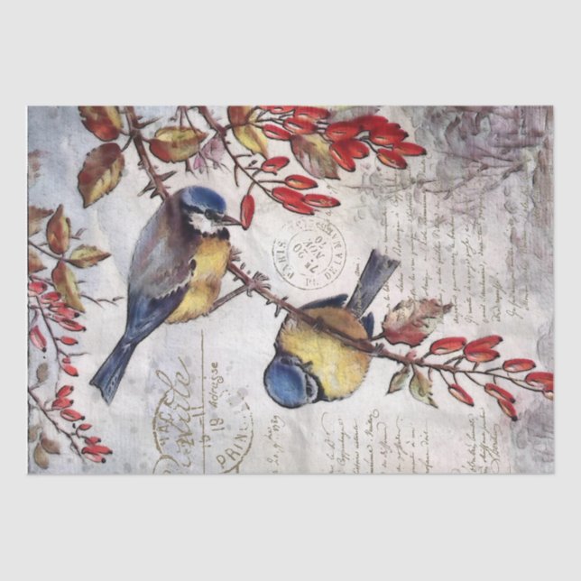 Papel De Seda Blue Bird Red Berries Francês - Sequência de Scrip (Frente )