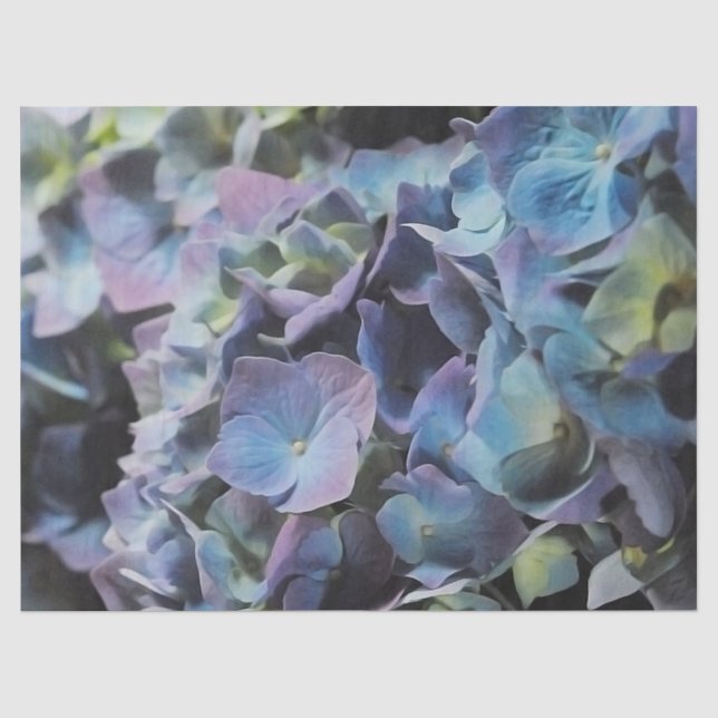 Papel De Seda Blue Hydrangea (Frente )