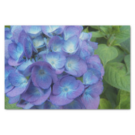 Papel De Seda Blue Hydrangea Petals Floral