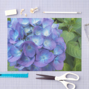 Papel De Seda Blue Hydrangea Petals Floral