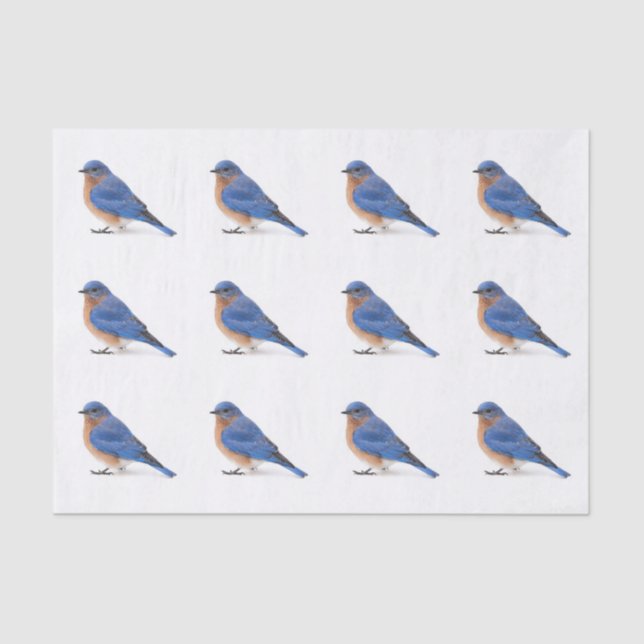 Papel De Seda Bluebird (Frente )