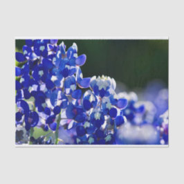Papel De Seda Bluebonnet