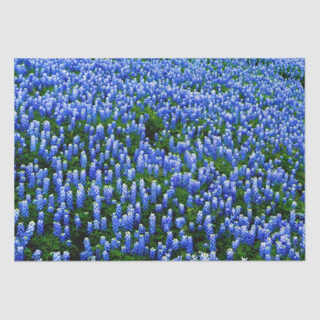 Papel De Seda Bluebonnets Blue Floral Texas Texan Elegante (Frente )