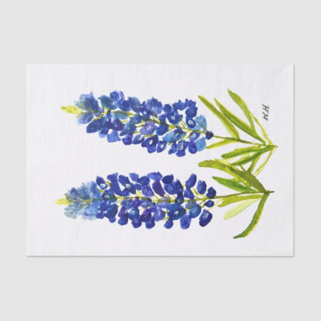 Papel De Seda Bluebonnets Texas State Flowers Lupine Watercolor (Frente )