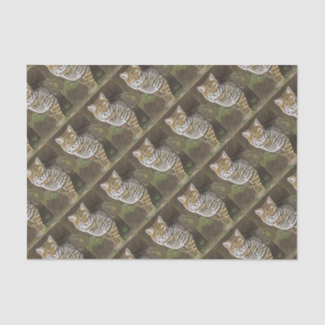 Papel De Seda Bobcat (Frente )