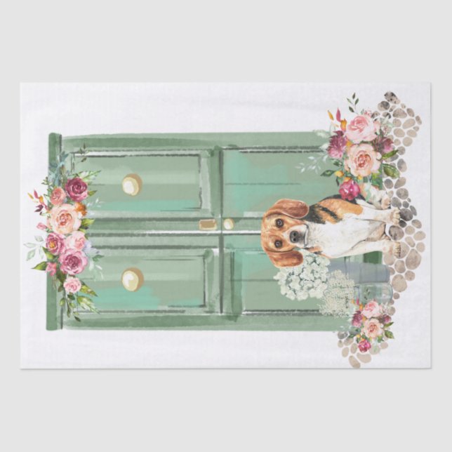 Papel De Seda Bola na porta (Frente )