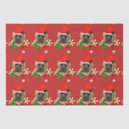 Papel De Seda Bom Natal para Mastiff Inglês