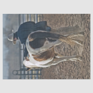 Papel De Seda Bond Blindíssimo de vaqueiro do cavalo ocidental