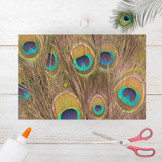 Papel De Seda Bonita Penas de Peacock Castanho