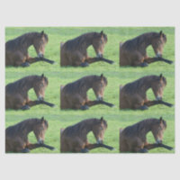 Bonito Cavalo Marrom estacionado na grama patentea