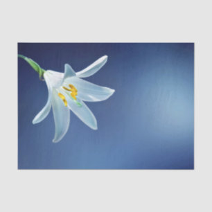 Papel De Seda Bonito Foto Floral de Lily Branca