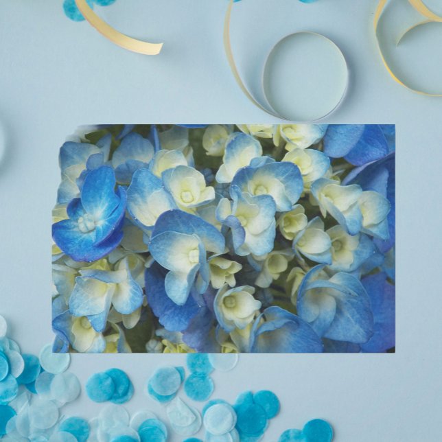 Papel De Seda Bonito Hydrangea Floral (In Situ)