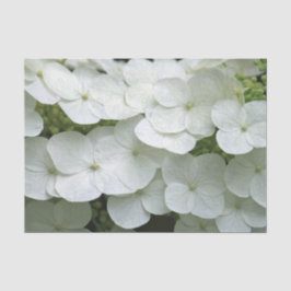 Papel De Seda Bonito Hydrangea Floral Foto