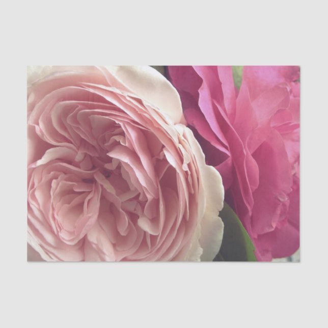 Papel De Seda Bonito no rosa (Frente )