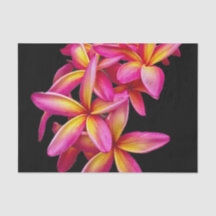 Bonito Plumeria Rosa Foto Floral