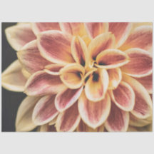 Bonito Summer Dahlia Flower (Bela Arte Floral)