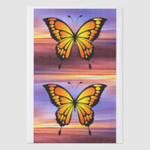 Papel De Seda Borboleta