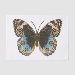 Papel De Seda Borboleta Azul Pansy