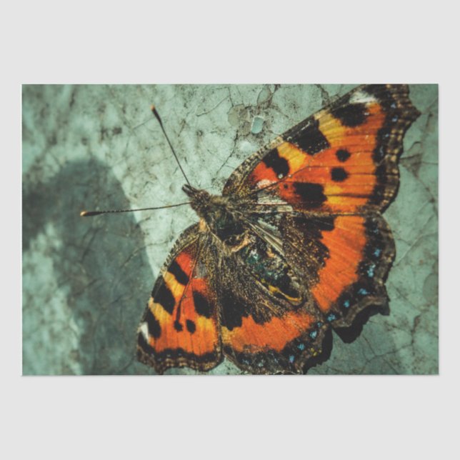Papel De Seda Borboleta Birthday (Frente )