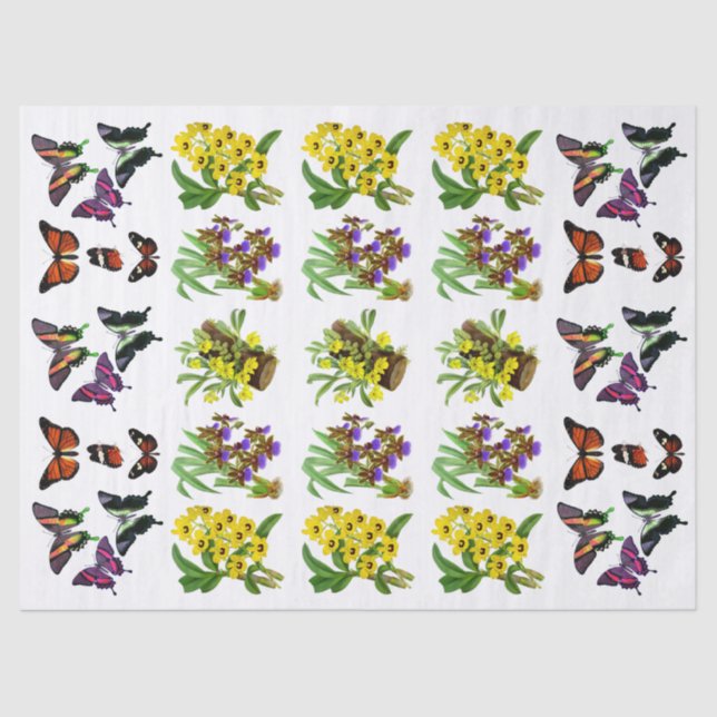 Papel De Seda Borboleta Cor-de-rosa amarela-amarela-laranja (Frente )