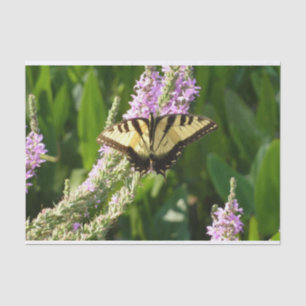 Papel De Seda Borboleta-de-cauda-andorinha em Flores Roxas
