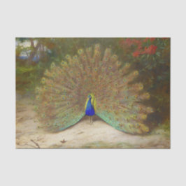 Papel De Seda Borboleta de Peacock e Peacock, Ilustração de Arte