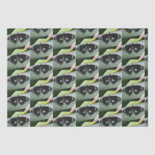 Papel De Seda Borboleta tropical branca e preta