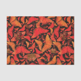 Papel De Seda Borboletas da queda de Flutterby no preto