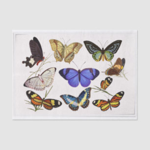 Papel De Seda Borboletas de Estilo Vintage