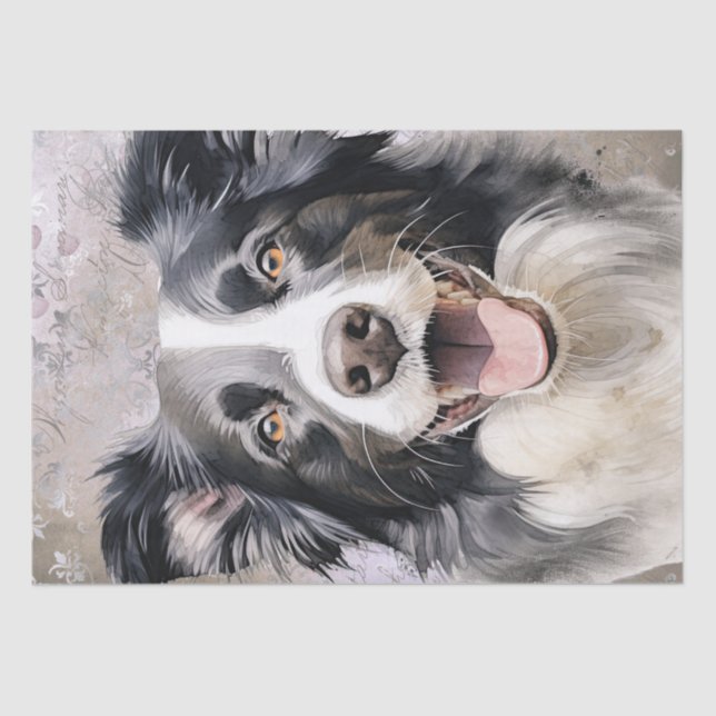 Papel De Seda Borda Collie Dog (Frente )