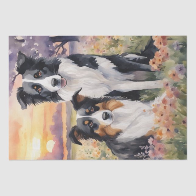 Papel De Seda Borda Collie e decoupage Shepard australiana (Frente )