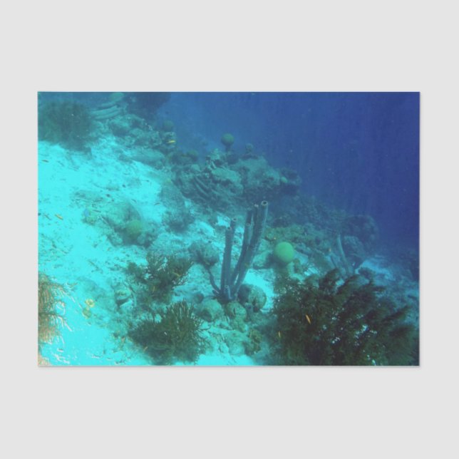 Papel De Seda Borda do recife (Frente )