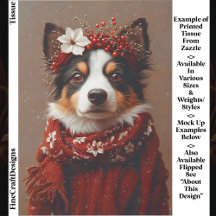 Border Collie com Cachecol Vermelho Festivo EE2L D