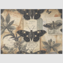 Botânica da Mariposa Lunar Cottagecore Farmácia