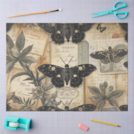Papel De Seda Botânica da Mariposa Lunar Cottagecore Farmácia