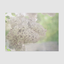 Botânica Lilac Flower Soft Country