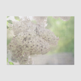 Papel De Seda Botânica Lilac Flower Soft Country