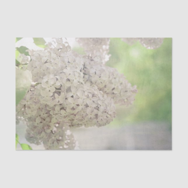 Papel De Seda Botânica Lilac Flower Soft Country (Frente )