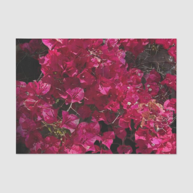 Papel De Seda Bougainvillea Red Tropical Vining Shrub Foto (Frente )