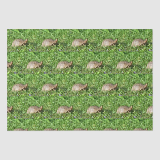 Papel De Seda Box Turtle (Frente )