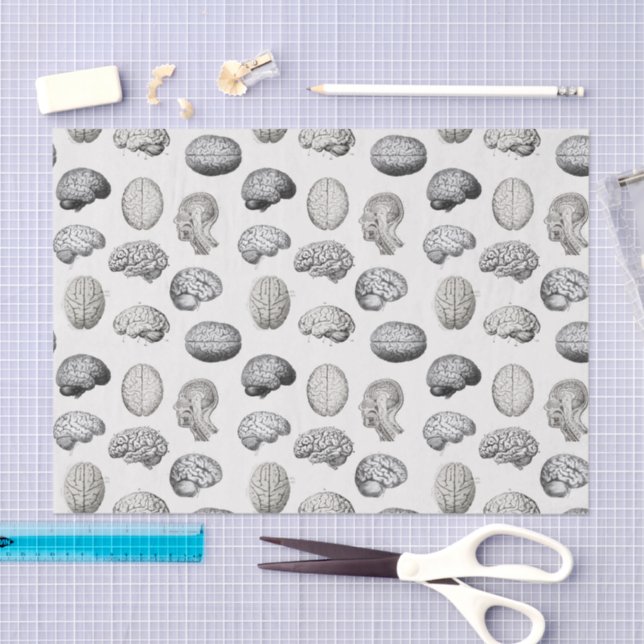 Papel De Seda Brain Anatomy Biology Illustrations (Arte )