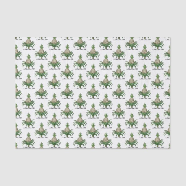 Papel De Seda Brasão de Armas Crest Pineapple Heráldico Préppy (Frente )