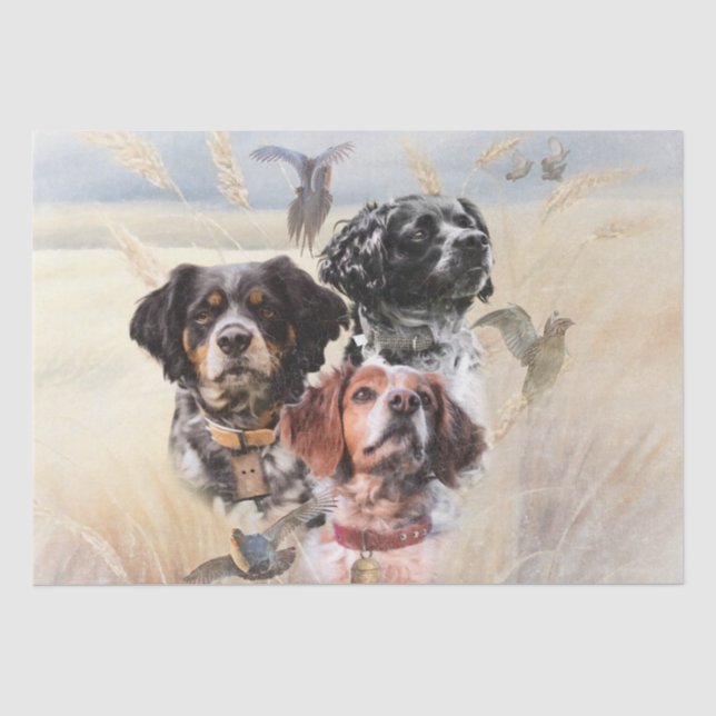 Papel De Seda Brittany Spaniel (Frente )