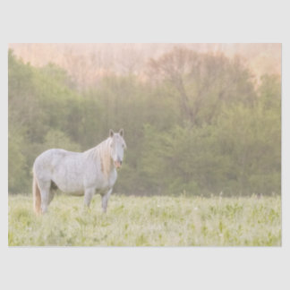 Papel De Seda Broadfoot Mare