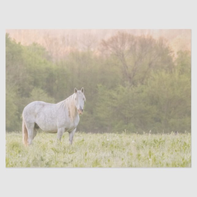 Papel De Seda Broadfoot Mare (Frente )