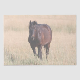 Papel De Seda Brown Bay Wild Mustang Horse